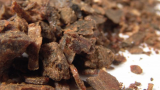 Bir Doğa Mucizesi Propolis