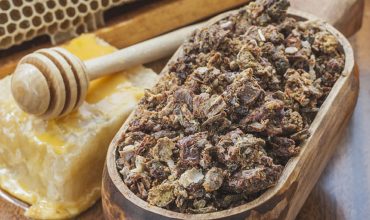 Propolis